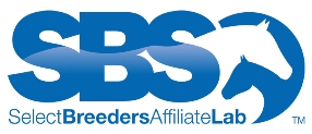 Sbs affiliate notag web