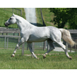 Calucci fr stallion web 1583x1266