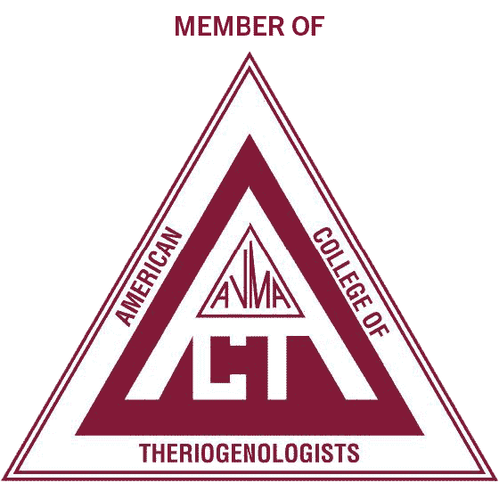 ACT Member